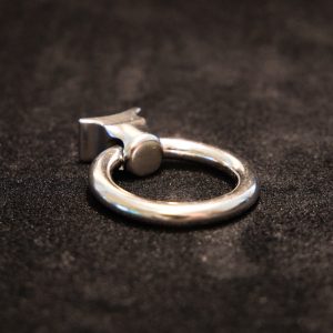 Swappable Ring Connector - Medium